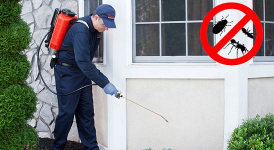 Muratpaşa Kemirgen İlaçlama böcek ilaçlama ve haşere kontrolü — ilaclama-tr.com
